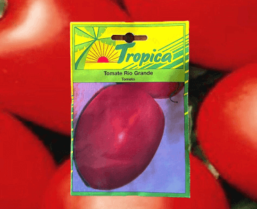 Presentación Tomate Río Grande