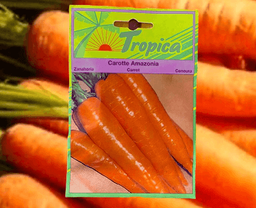 Presentación Zanahorias